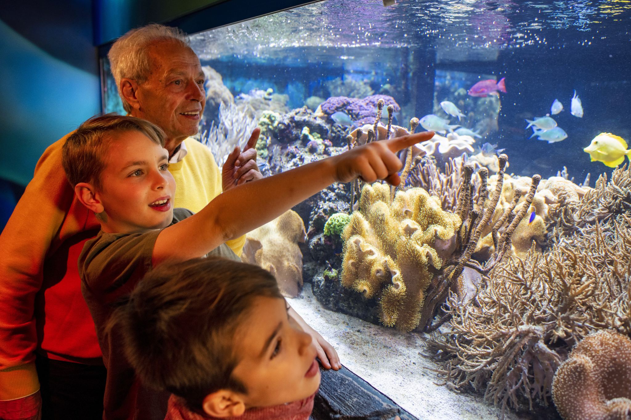 SEA LIFE Speyer