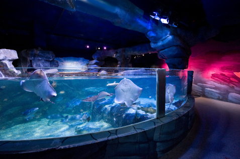 Sea Life Berlin