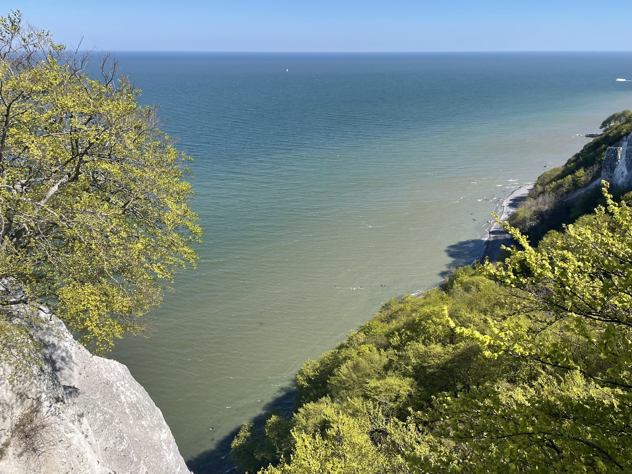 Nationalpark-Zentrum KÖNIGSSTUHL