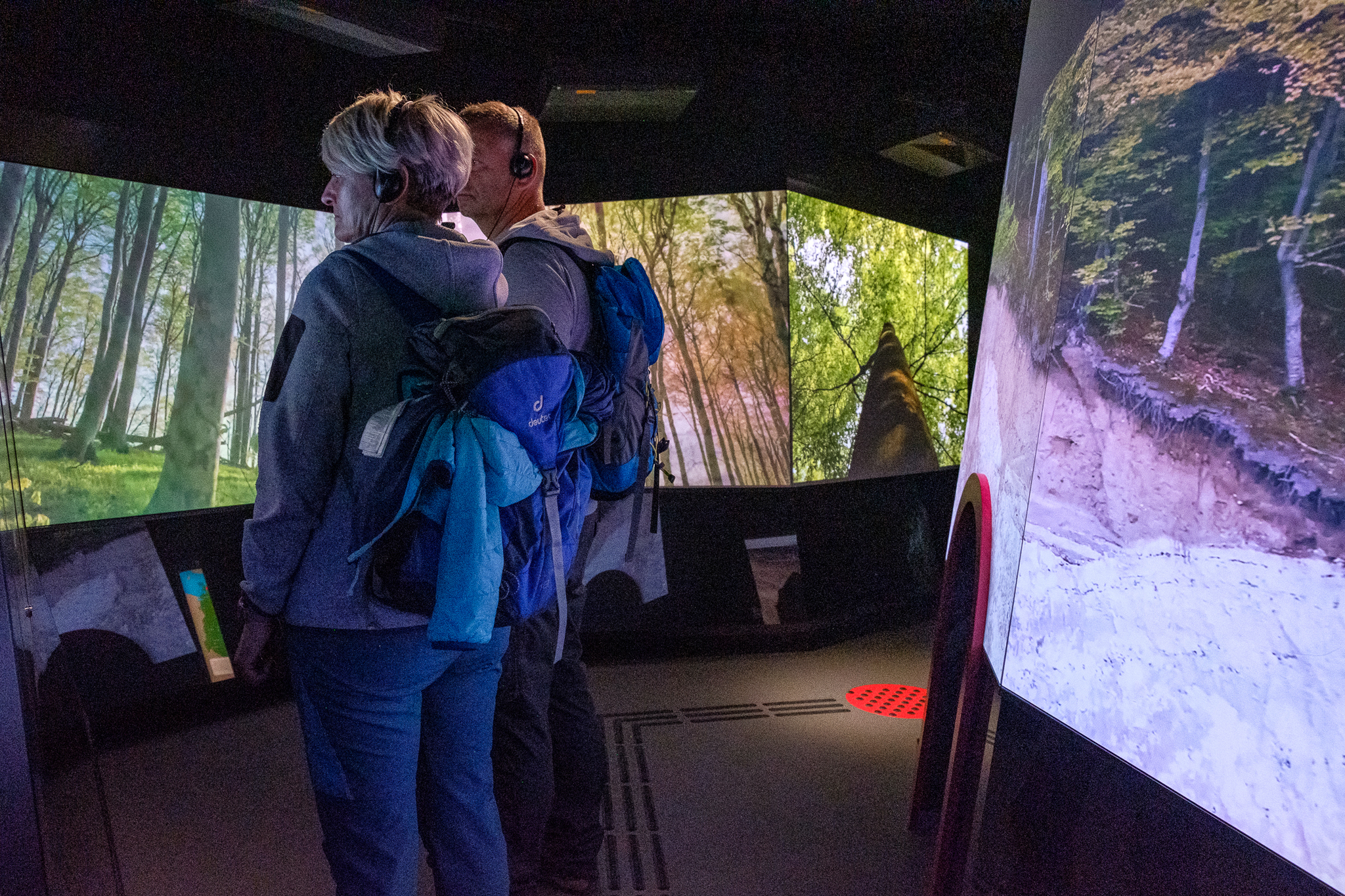 Nationalpark-Zentrum KÖNIGSSTUHL - ©Peter Lehmann Nationalpark-Zentrum KÖNIGSSTUHL - ©Peter Lehmann