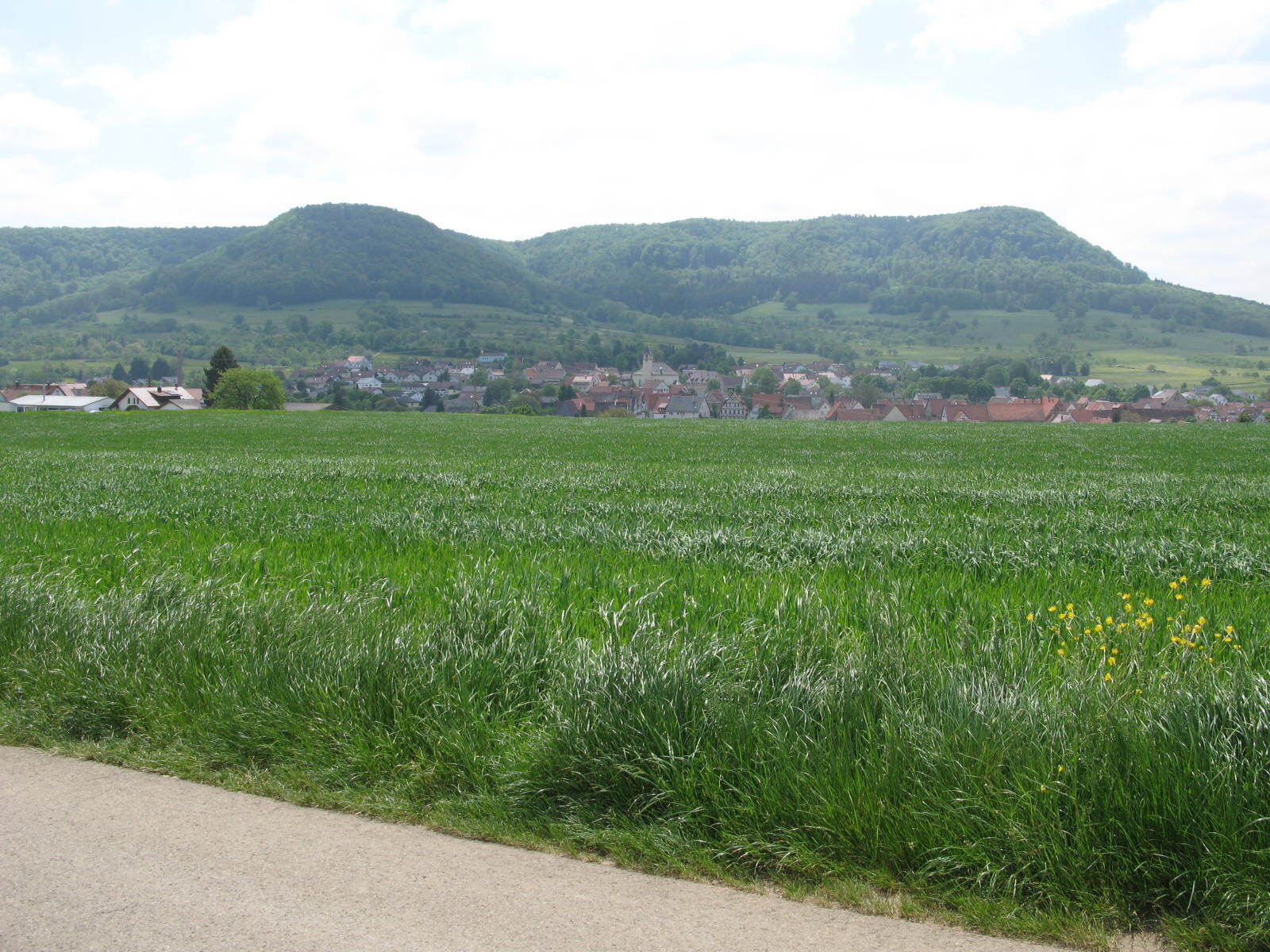 Den Albtrauf im Blick