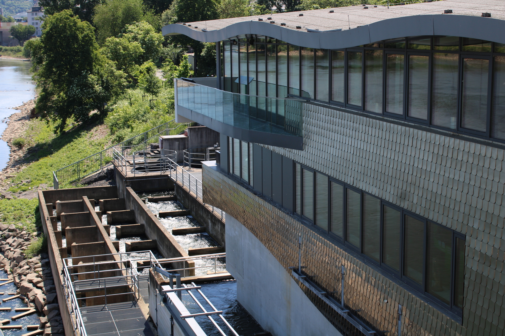 Mosellum - Erlebniswelt Fischpass Koblenz