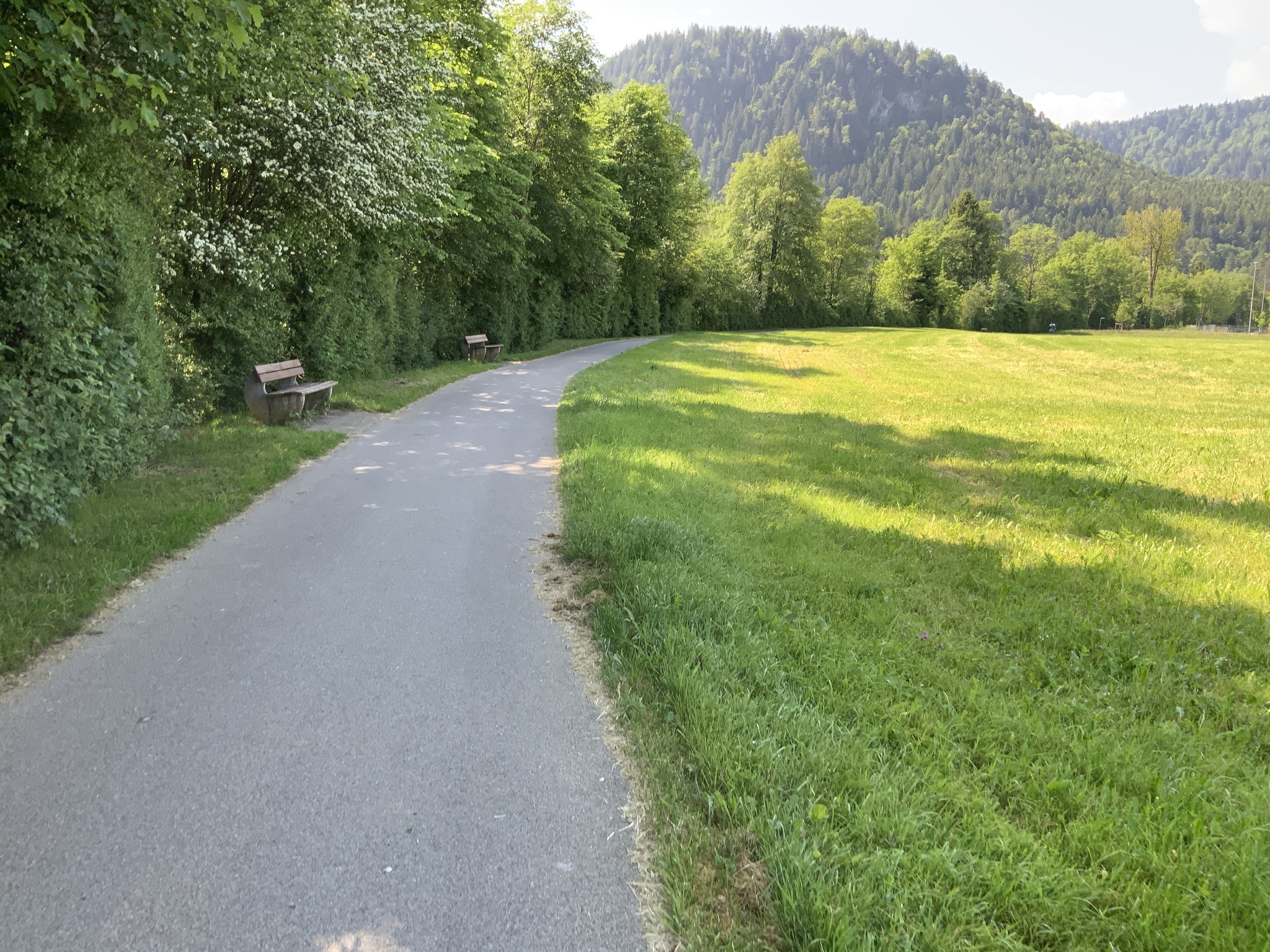 Rundweg um den Bootshafen am Forggensee
