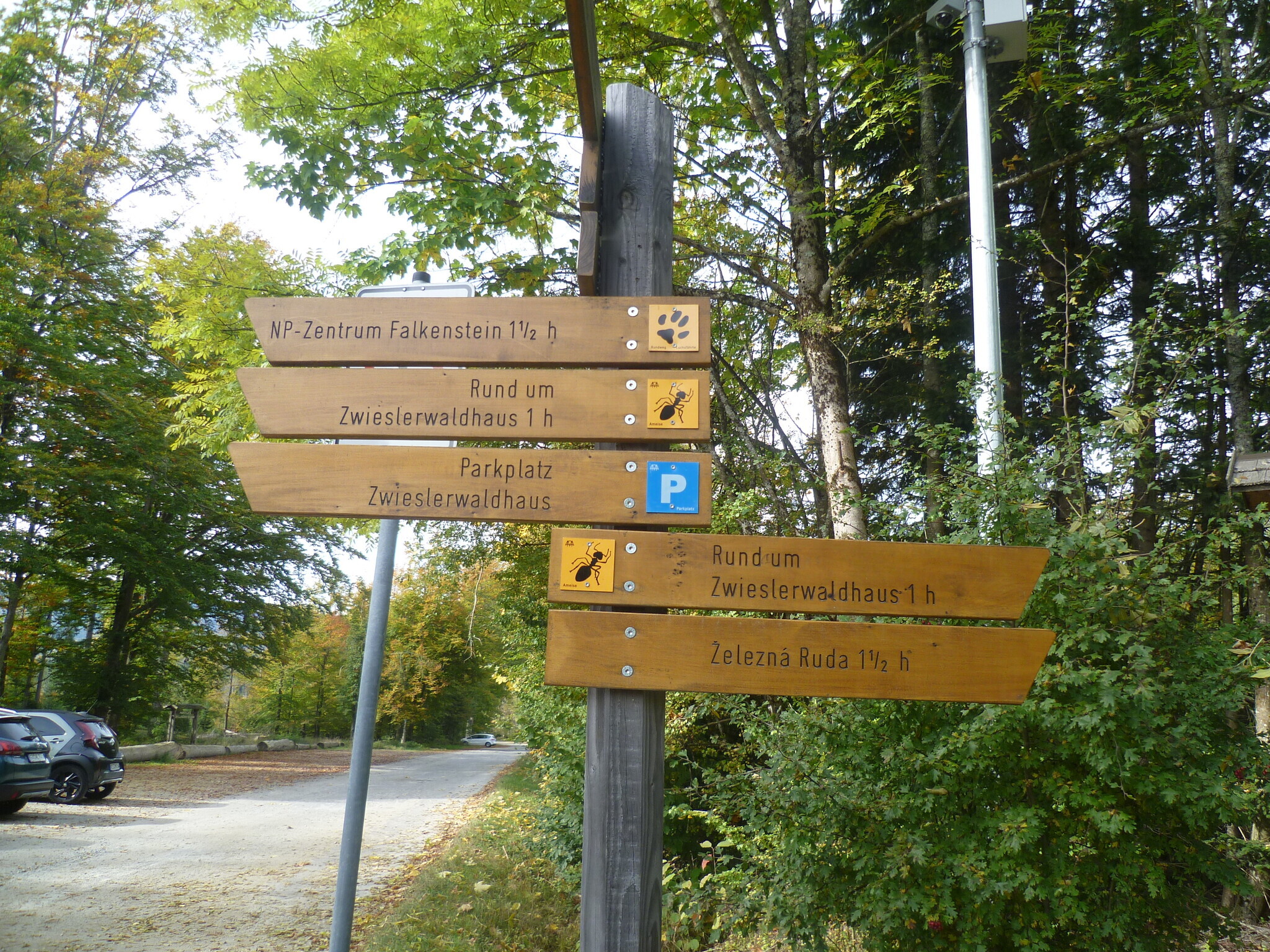 Rundwanderweg Ameise