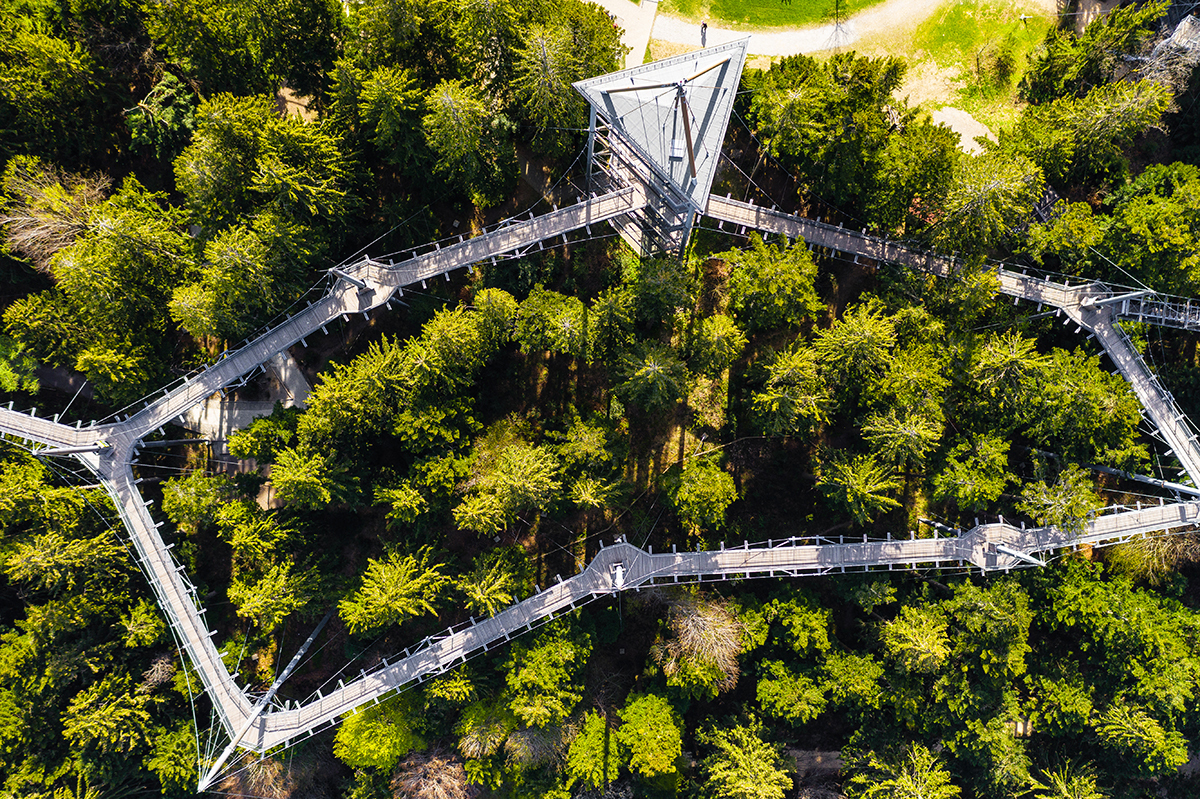 Waldwelt Skywalk Allgäu
