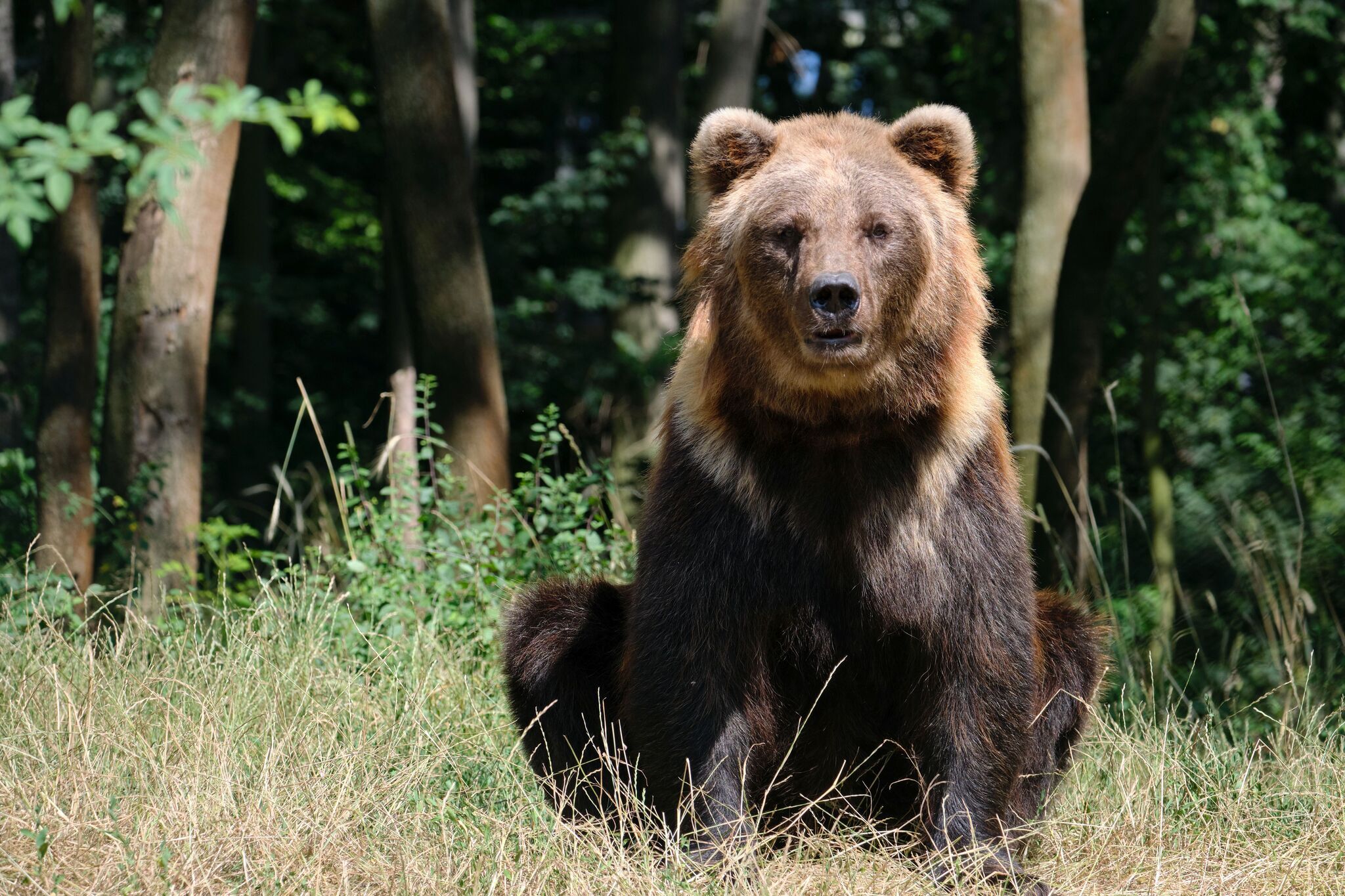 Alternativer Bärenpark® Worbis