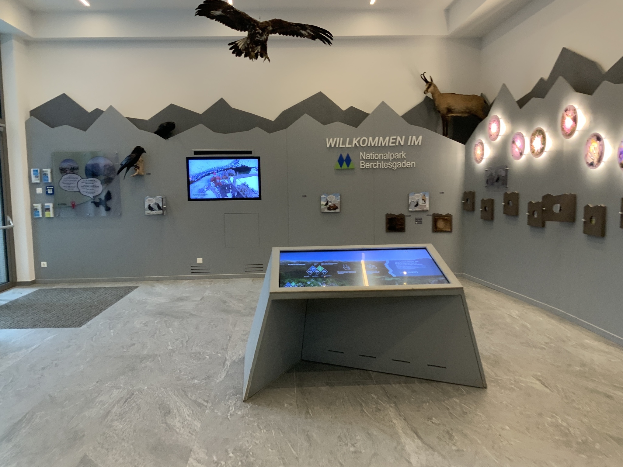 Nationalpark: Infostelle Jenner Gipfelstation