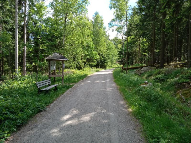 Walderlebnispfad Bischofsgrün