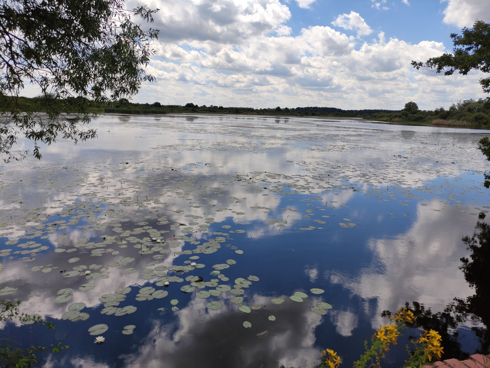 Auenpfad Kliekener Aue 5,5 km