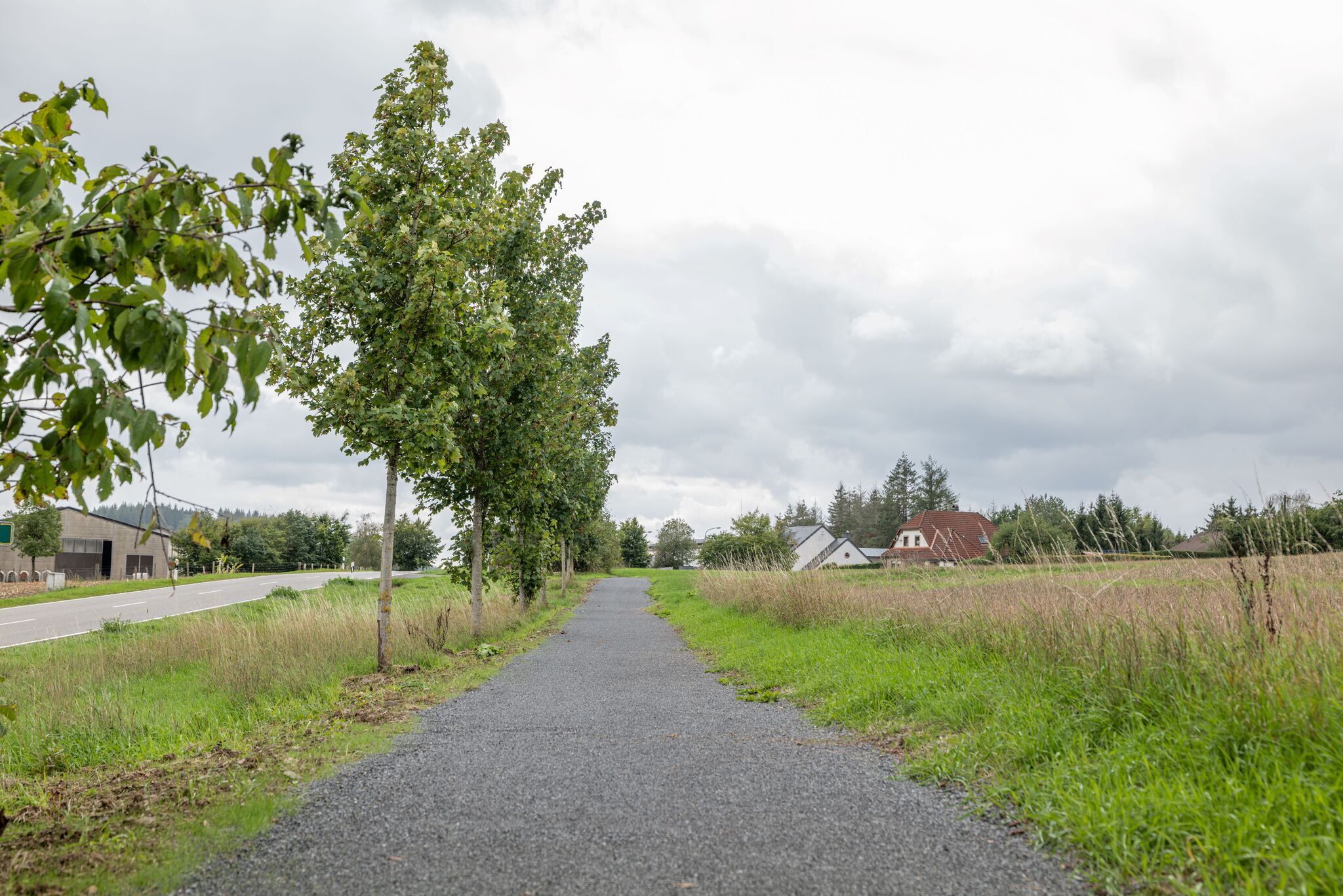 Barrierefreier Komfortwanderweg in Daleiden