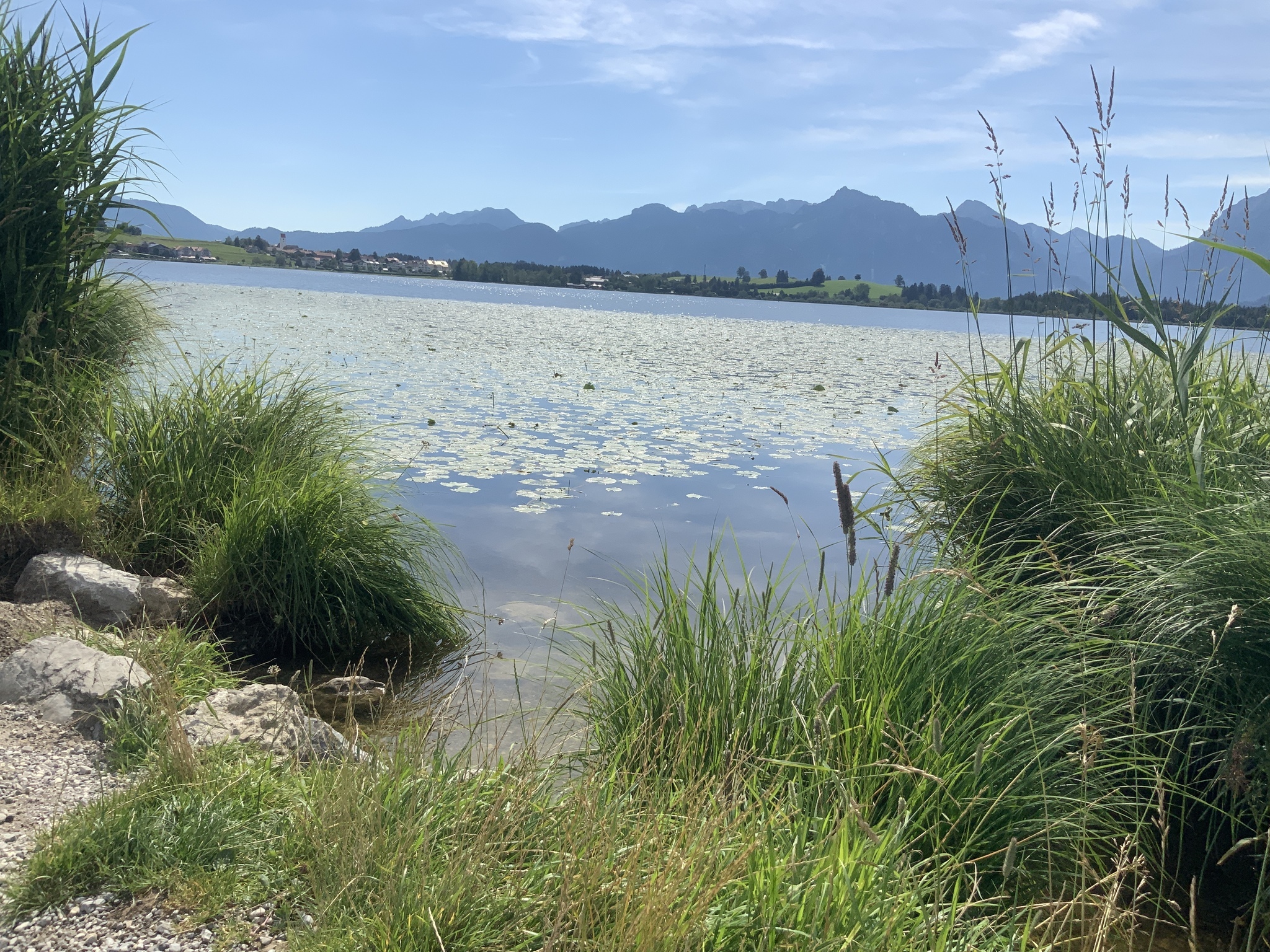 Hopfensee-Rundweg