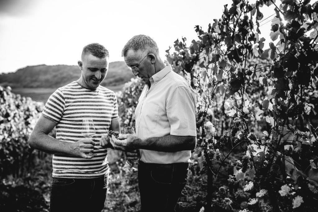 Weingut & Brennerei Peter Greif
