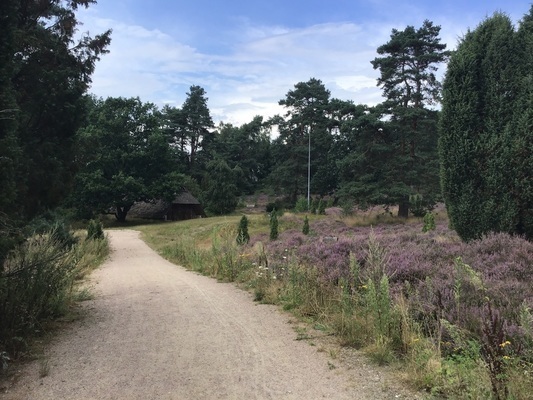 Rundweg Heidjerpark Bispingen