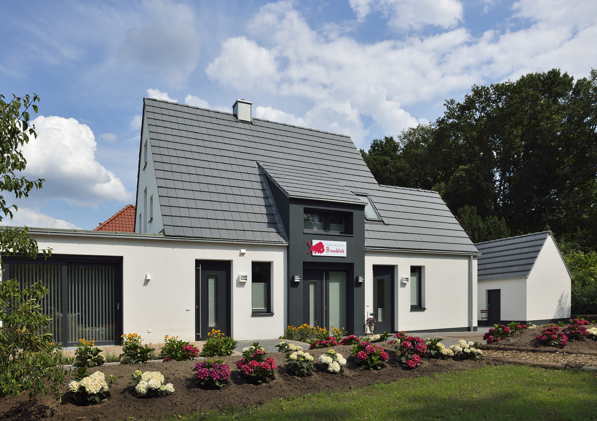 Ferienhaus Bisonblick