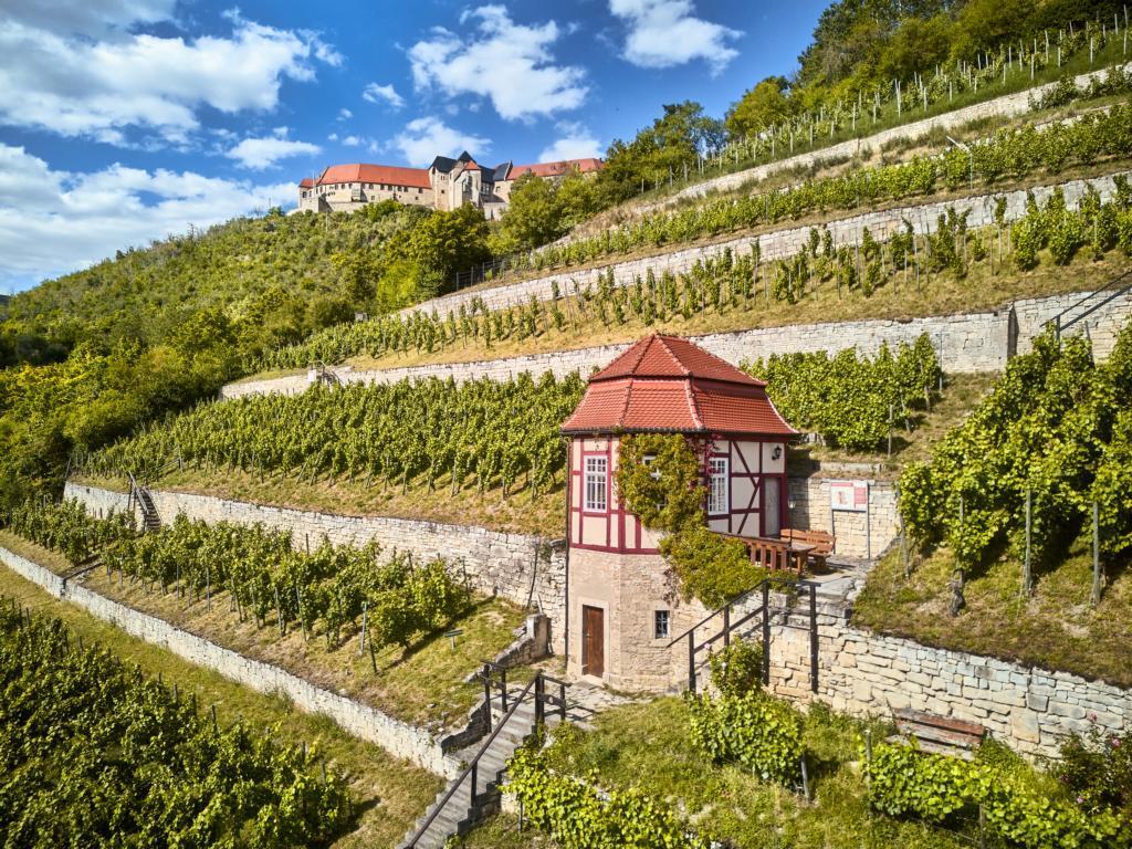 Urlaubsinspiration "Saale-Unstrut: kultur- und erlebnisreich“