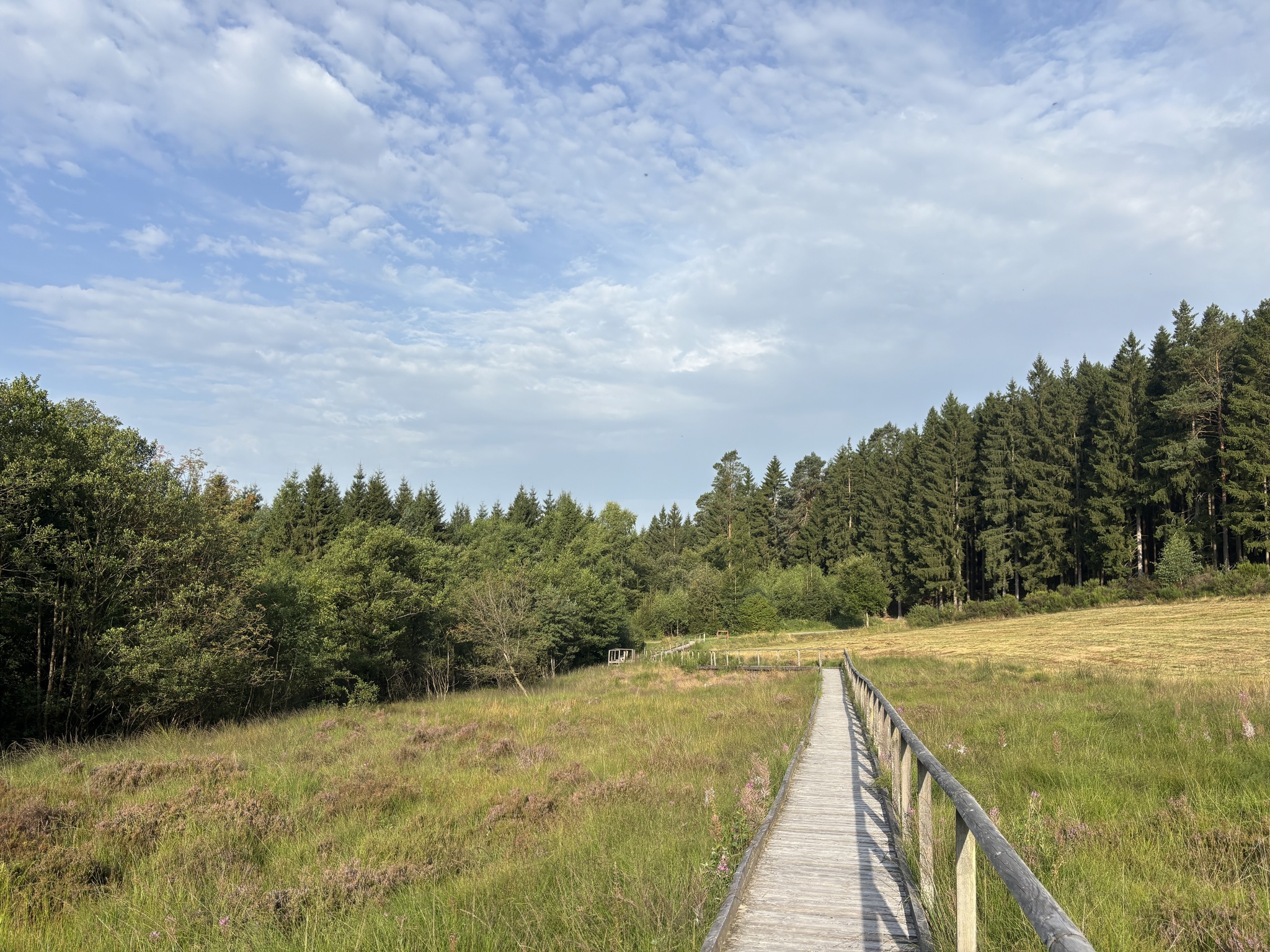 Moorpfad Dahlem - ©Benjamin Suthe Moorpfad Dahlem - ©Benjamin Suthe