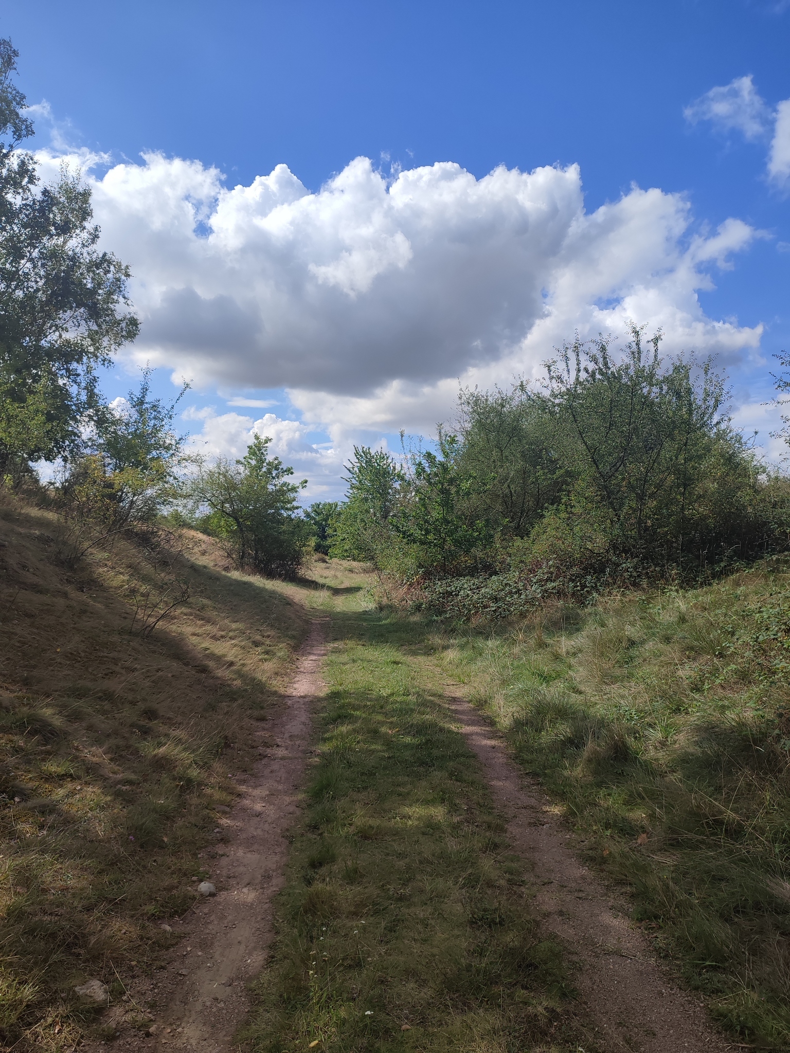 Naturlehrpfad "Porphyrlandschaft Wettin/Gimritz" 