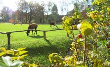 Tierpark Dessau - ©Tierpark Dessau