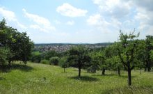 Zum Heuberger Tor - ©Felix Frank