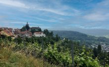 Panoramaweg für Rollstuhlfahrende in Winnenden-Bürg WN10 - ©Heike Funk