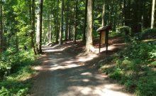 Wanderweg im Bereich des Meisenhofs - ©Julia Marmulla Wanderweg im Bereich des Meisenhofs - ©Julia Marmulla