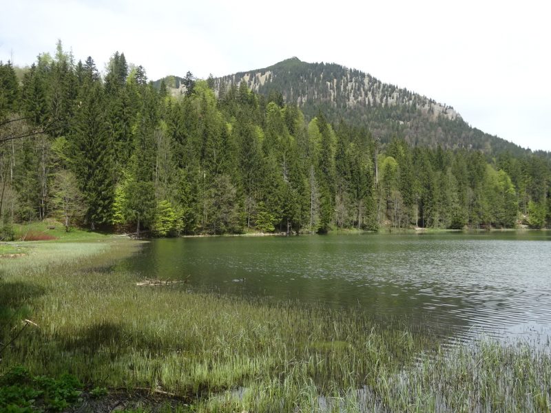 Bild von Wanderweg um den Spitzingsee - ©Silke Schropp