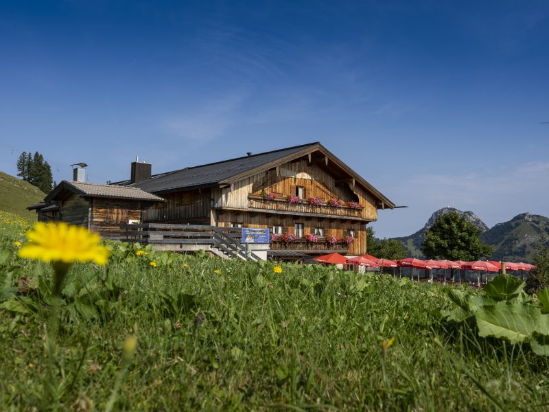 Bild von Berggasthof Walleralm  - ©Berggasthof Walleralm 