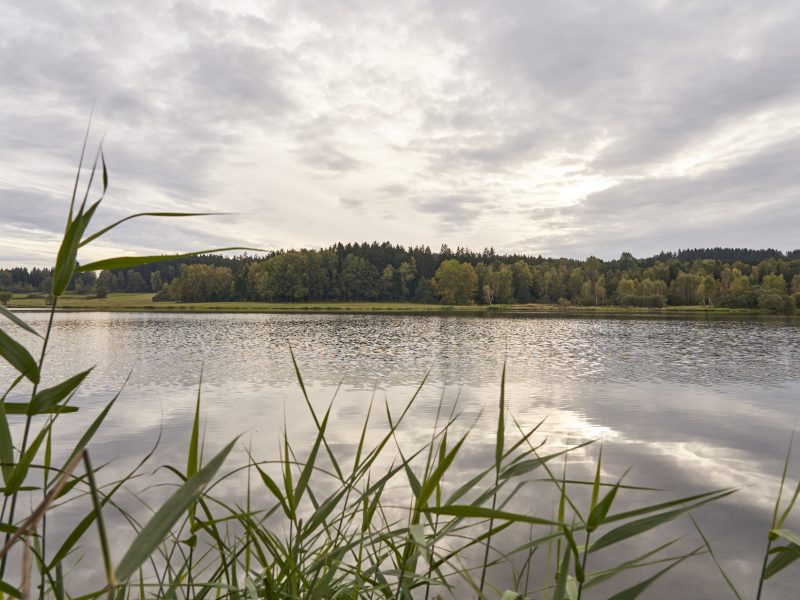 Bild von Rundwanderweg Silbersee - ©Woidlife