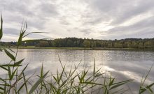 Rundwanderweg Silbersee - ©Woidlife