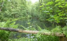 Rundwanderweg Bismarckstieg - zwischen Elbe und Fläming - 3,3 km