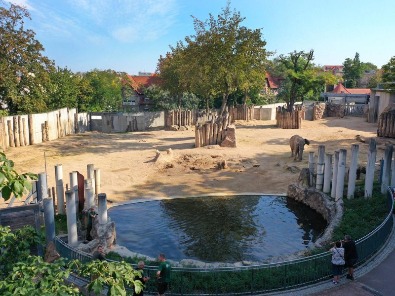 Bild von Bergzoo Halle (Saale) - ©steffen schellhorn