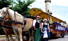 Mecklenburger Kutsch- und Kremserfahrten Mecklenburger Kutsch- und Kremserfahrten
