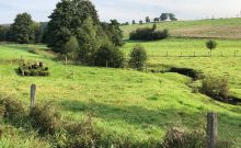 Wanderweg Ökologie und Mühlengeschichte - ©Cornelia Obenauer Wanderweg Ökologie und Mühlengeschichte - ©Cornelia Obenauer