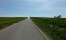Rolliwanderweg zum Seeburger See - ©Sonja Wiedekind Rolliwanderweg zum Seeburger See - ©Sonja Wiedekind