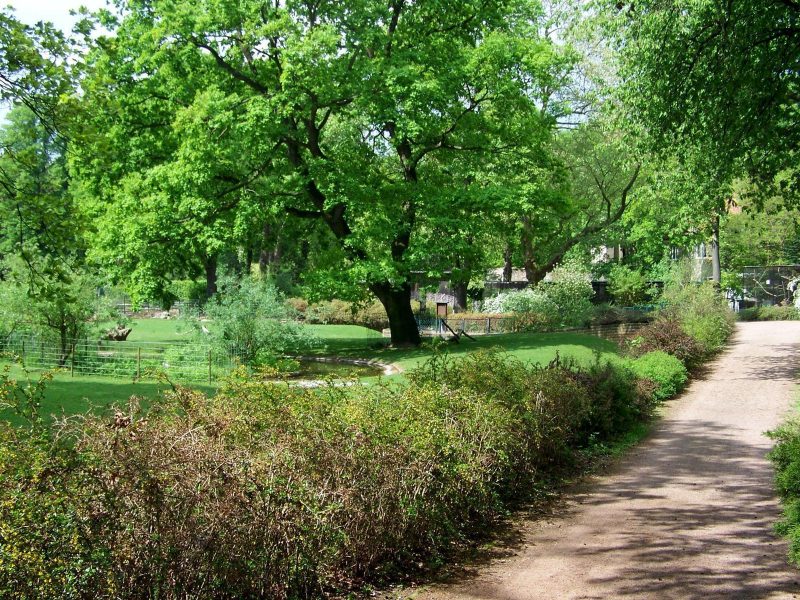 Bild von Urlaubsinspiration "Dessau-Roßlau - Natur erfahren" - ©Tierpark Dessau 