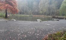 Kurpark Daun - ©Margret Bongart Kurpark Daun - ©Margret Bongart