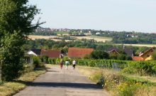 Rundweg im Naherholungsgebiet am Huckenhof - ©Thea Weiskopf Rundweg im Naherholungsgebiet am Huckenhof - ©Thea Weiskopf