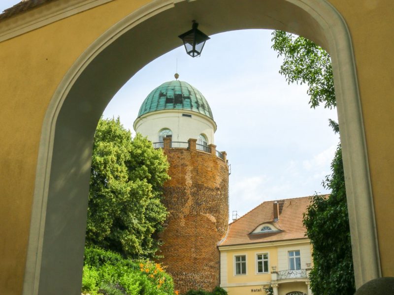 Bild von BUND-Besucherzentrum Burg Lenzen - ©Lukas Häuser