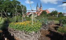 Klostergarten - ©Frank Boxler