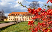 Schloss und Schlosspark Mosigkau im Gartenreich Dessau-Wörlitz - ©Photographer: P. Dafinger